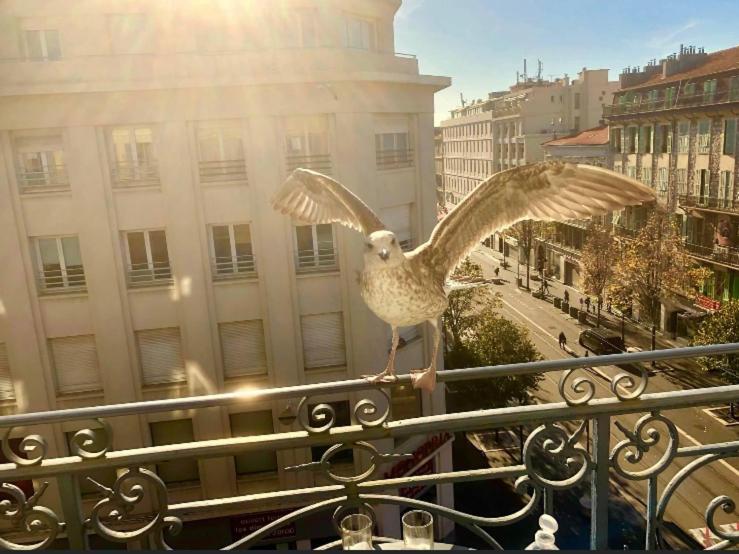 Magnifique Pied à Terre Centre Notre Dame Nice